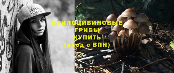 твердый Михайловка