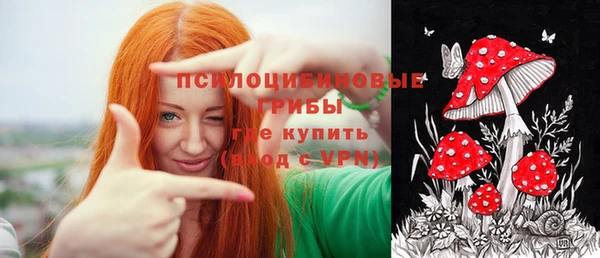 мяу мяу мука Михайловск