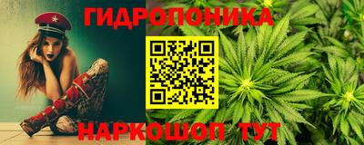 дурь Камышлов