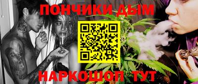 дурь Камышлов