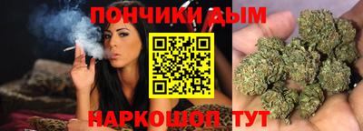 дурь Камышлов