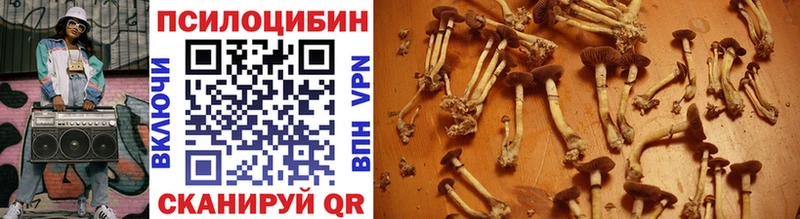 продажа наркотиков mega Псилоцибиновые грибы прущие грибы Магнитогорск