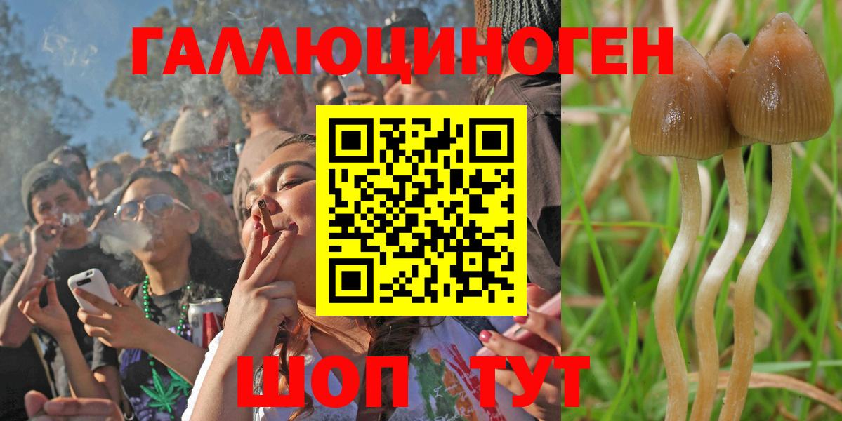 Галлюциногенные грибы Psilocybine cubensis  Вход с VPN  наркошоп  Магнитогорск  Галлюциногенные грибы ЛСД 